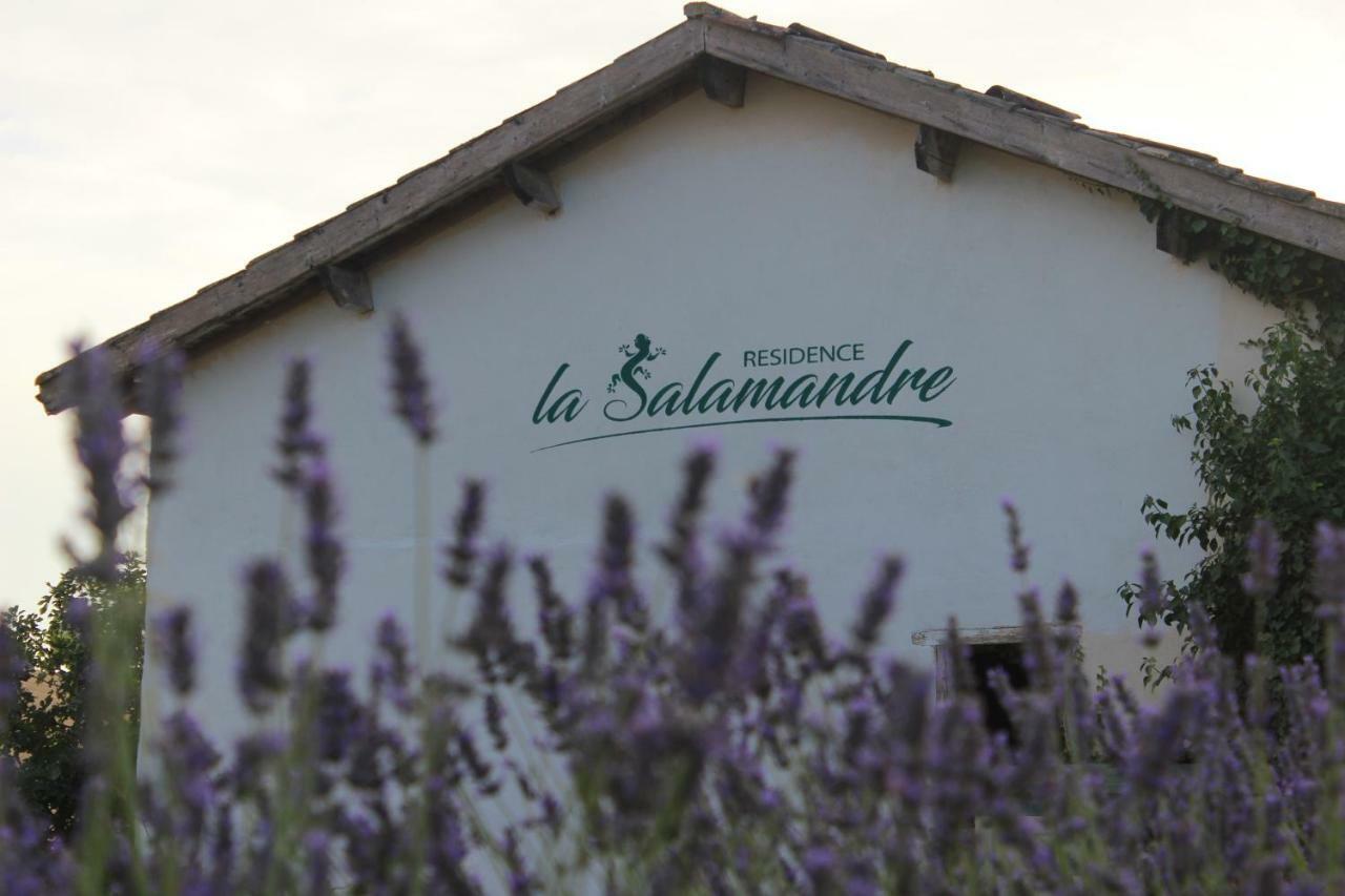 Residence La Salamandre Kamers Rabastens Zewnętrze zdjęcie